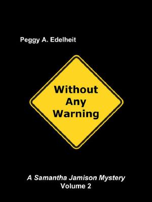 [Samantha Jamison Mystery 02] • Without Any Warning